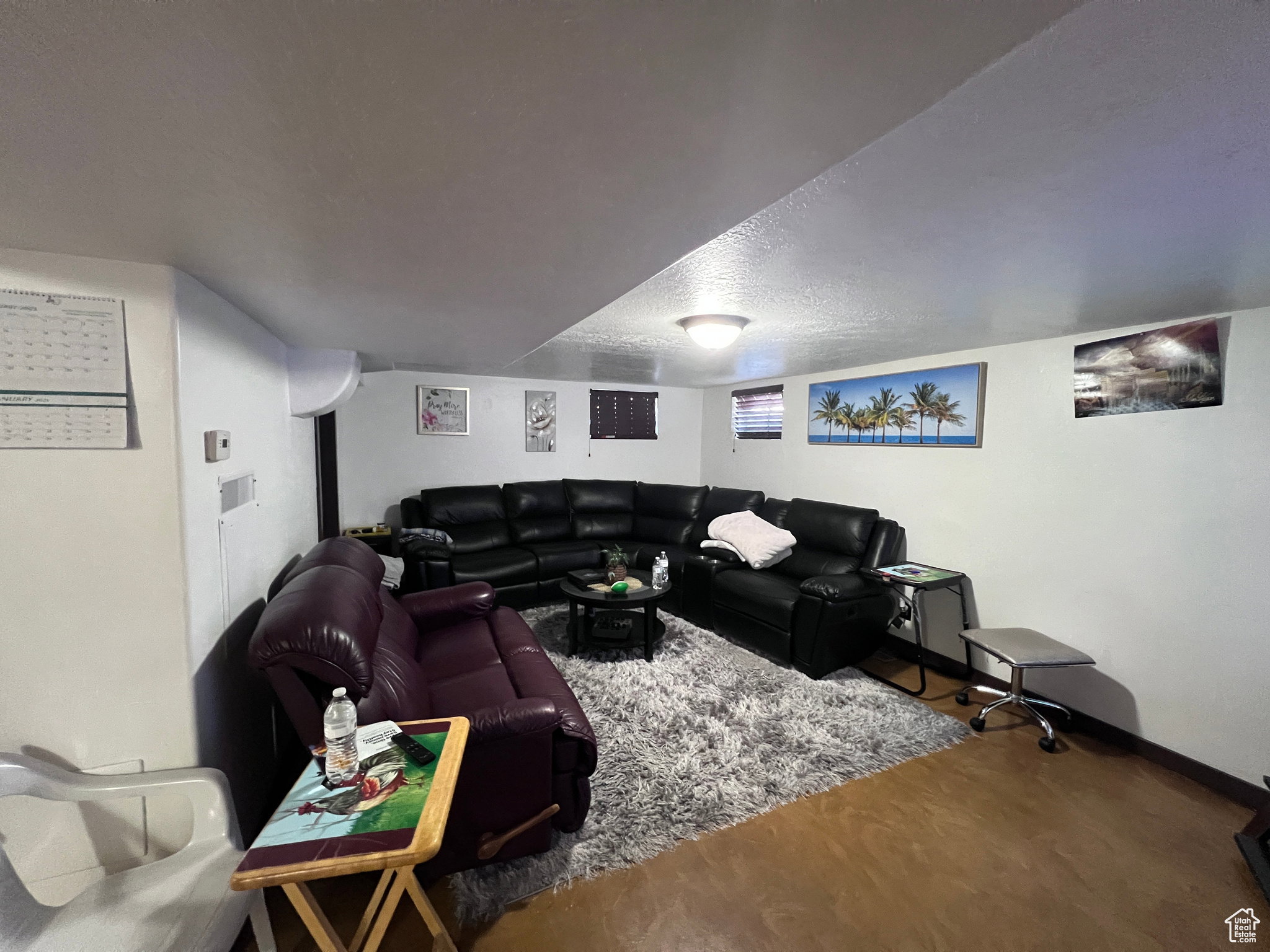 Basement Living Room