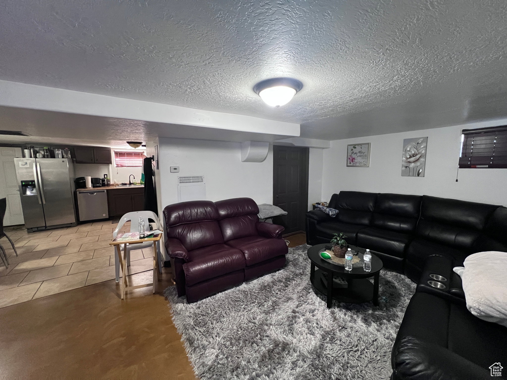 Basement Living Room