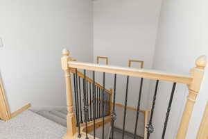 Staircase featuring carpet