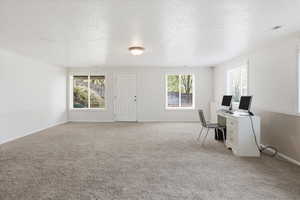 Basement family room with a textured ceiling and carpet