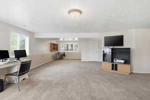 Basement family room with a textured ceiling and carpet