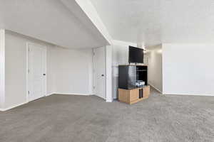 Basement family room with a textured ceiling and carpet