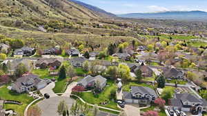 Aerial perspective of suburban area featuring a mountainous background