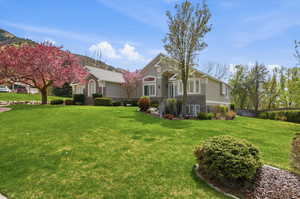 View of front of house with stone siding, stucco siding, and a front lawn