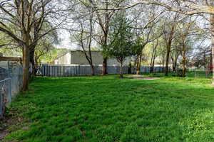 View of fenced backyard