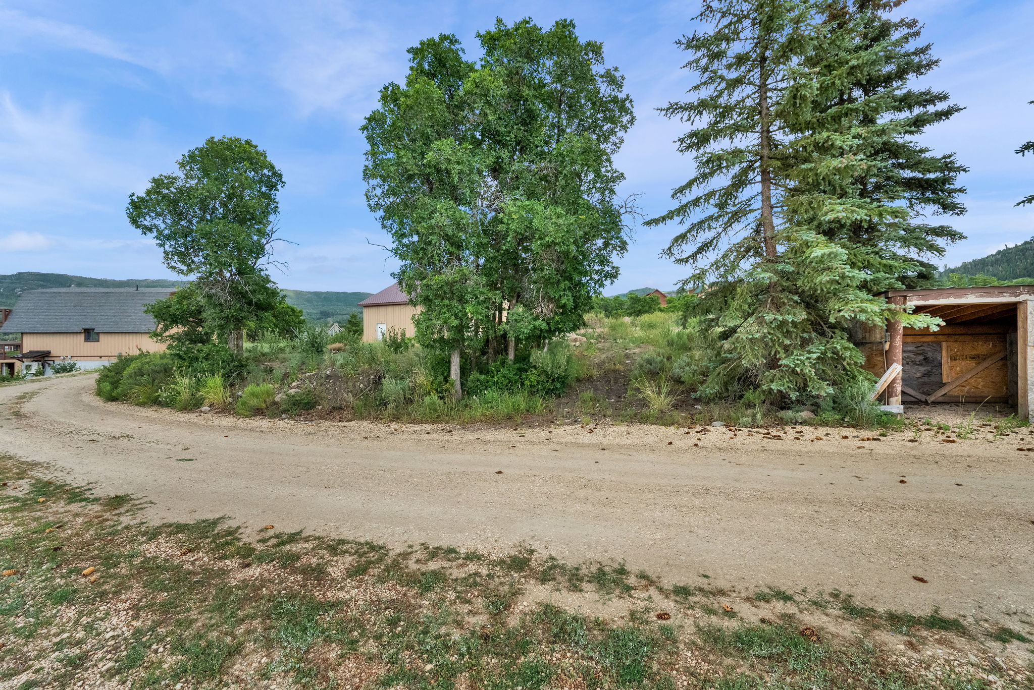 Gravel driveway with a rustic open-sided shed, surrounded by mature trees and natural landscaping