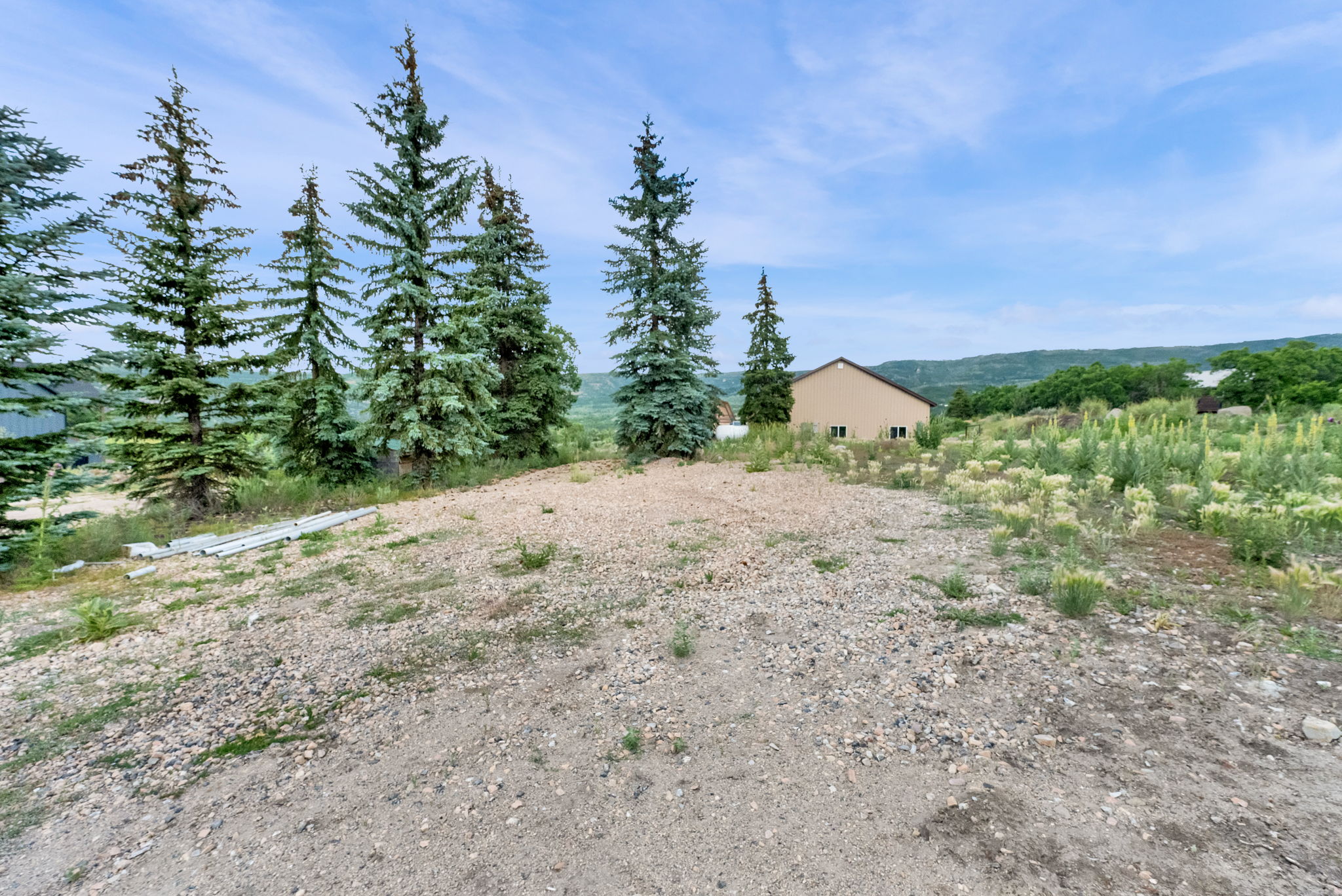 Expansive undeveloped lot featuring a gravel and dirt surface, mature evergreen trees, and distant rolling hills