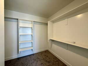 Walk in closet featuring dark colored carpet