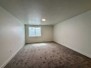 Unfurnished room with a textured ceiling and carpet floors