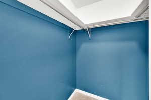 Walk in closet featuring carpet flooring