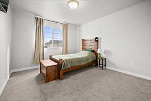 Bedroom with light carpet