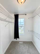Walk in closet featuring light colored carpet