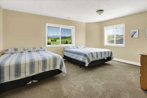 North Basement Bedroom featuring multiple windows and carpet flooring