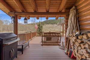 Wooden terrace featuring a grill