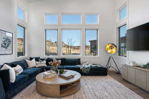 Living room featuring wood finished floors and a high ceiling