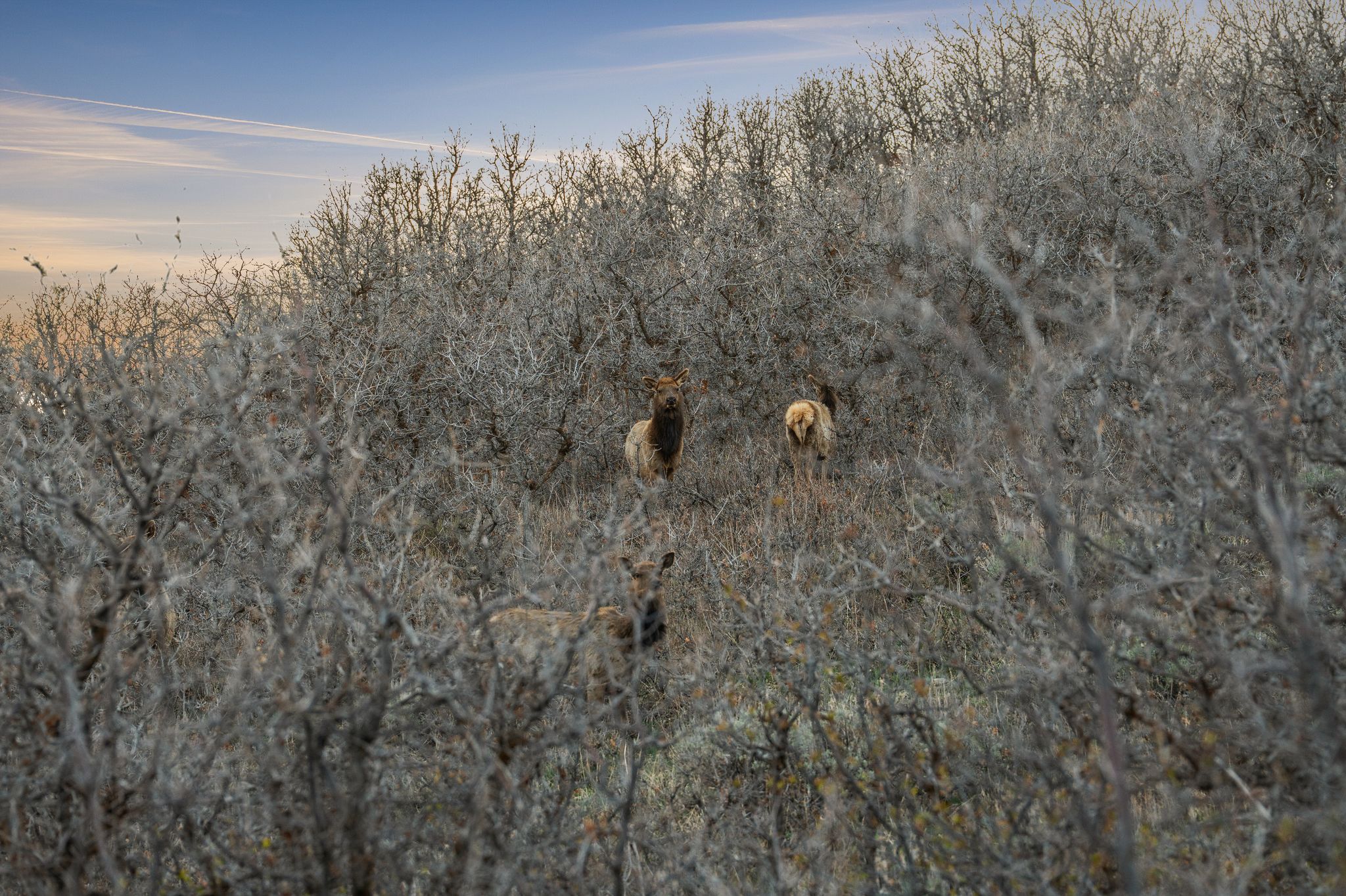View of local wilderness