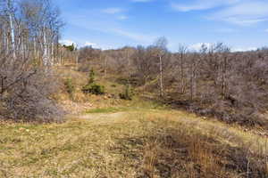 View of undeveloped land