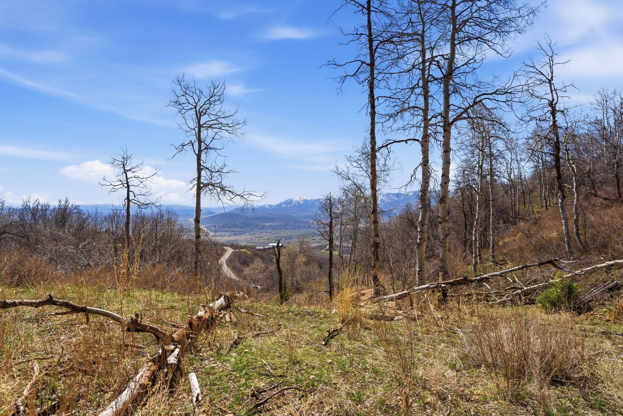 View of mountain background