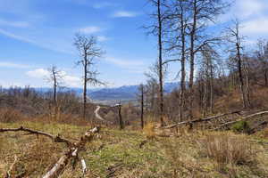 View of mountain background