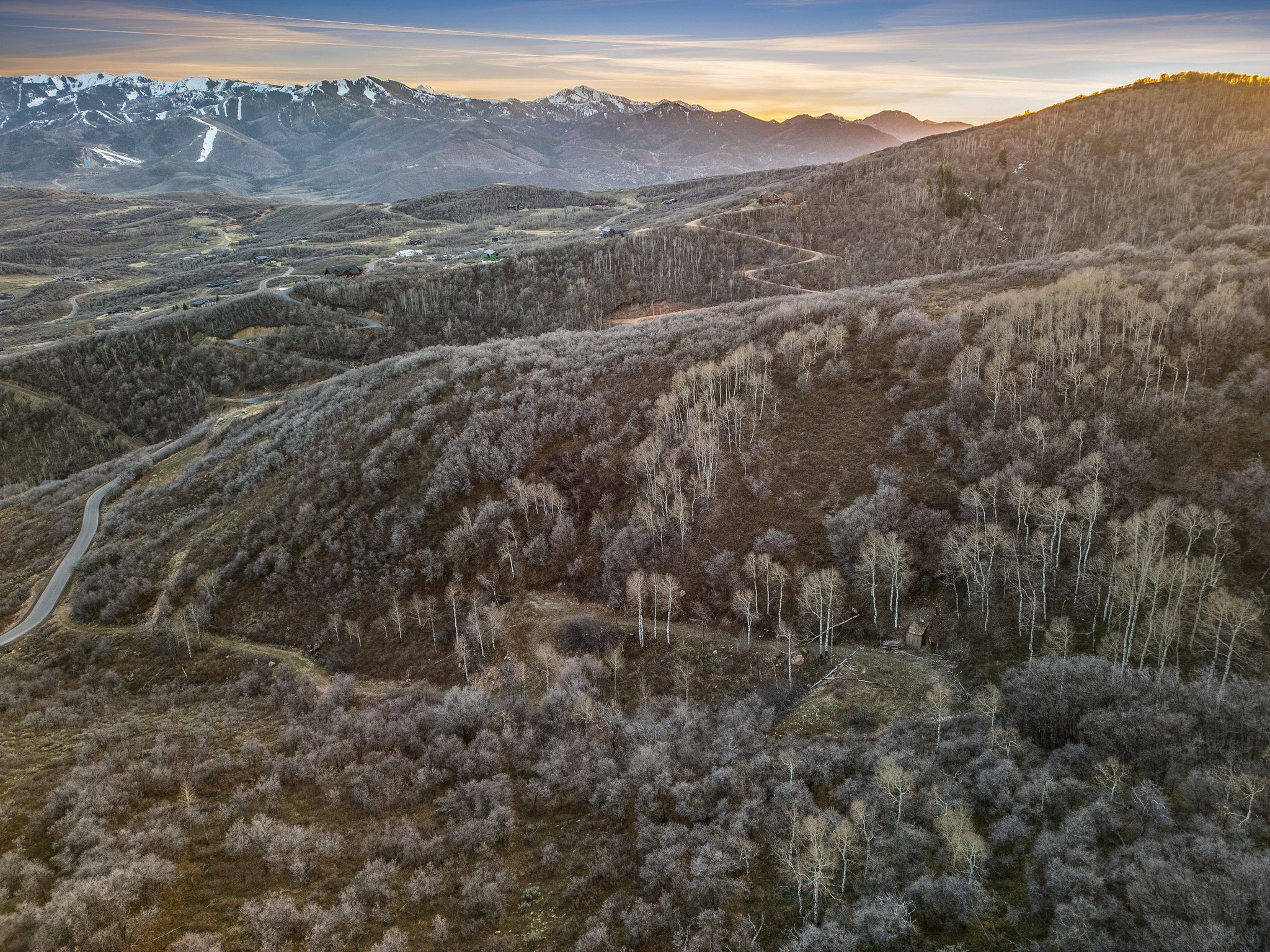 Mountain view with a forest