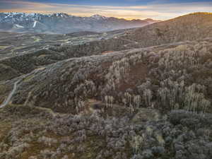 Mountain view with a forest