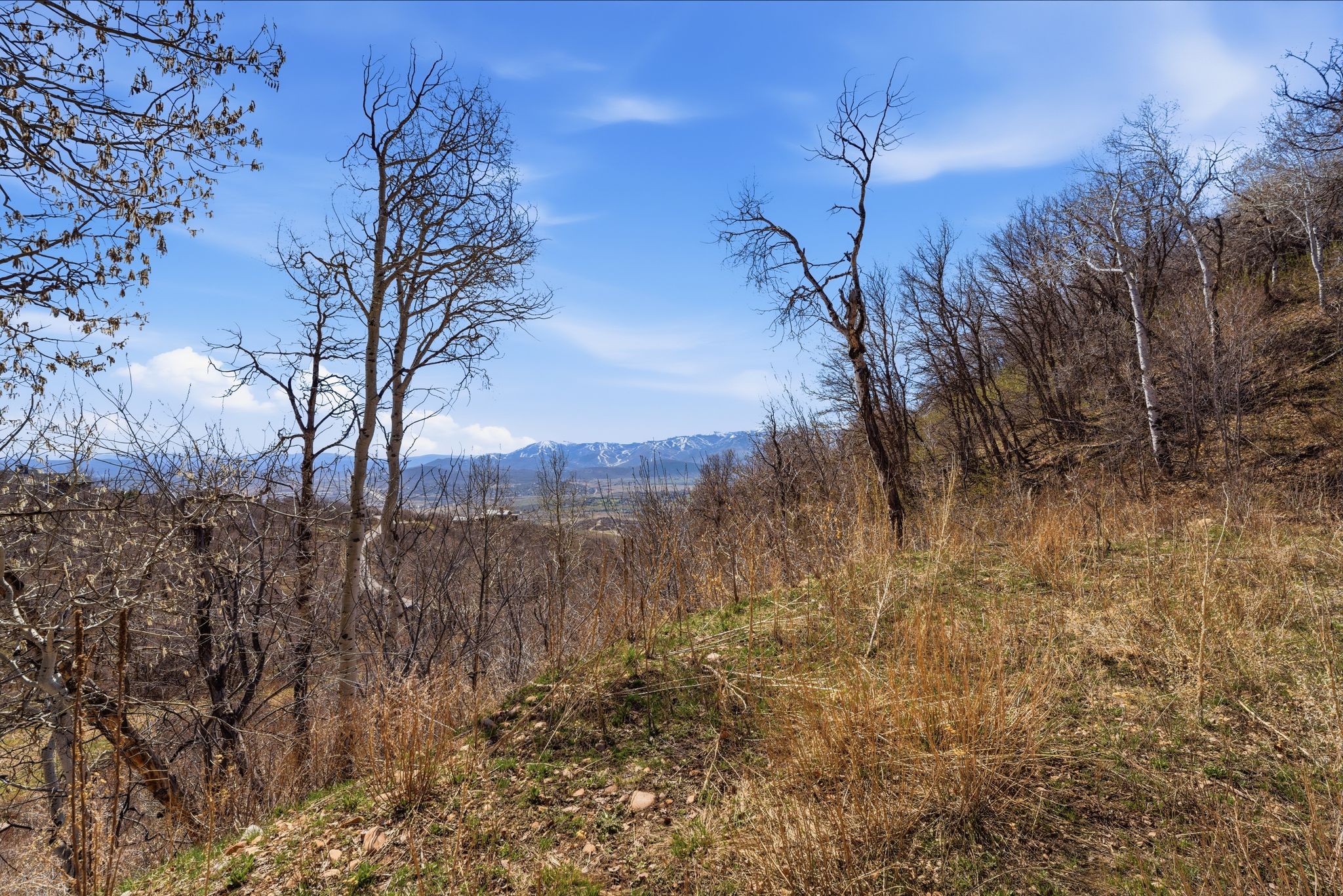 View of mountain background