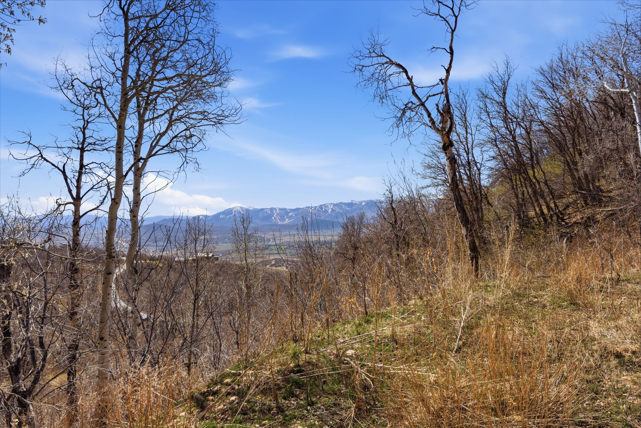 Mountain view