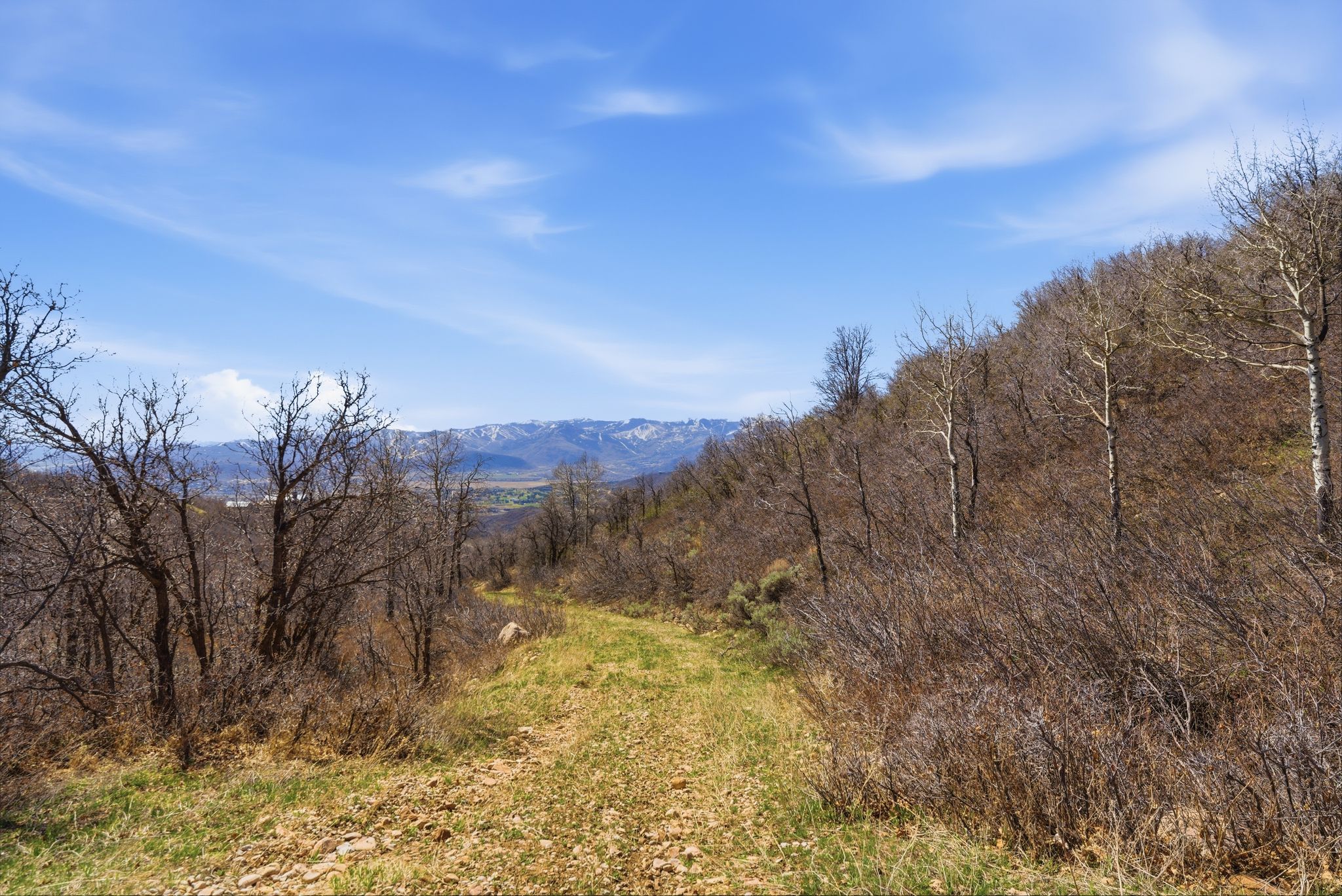 Mountain view