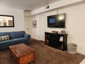 Carpeted living area with baseboards and a textured ceiling