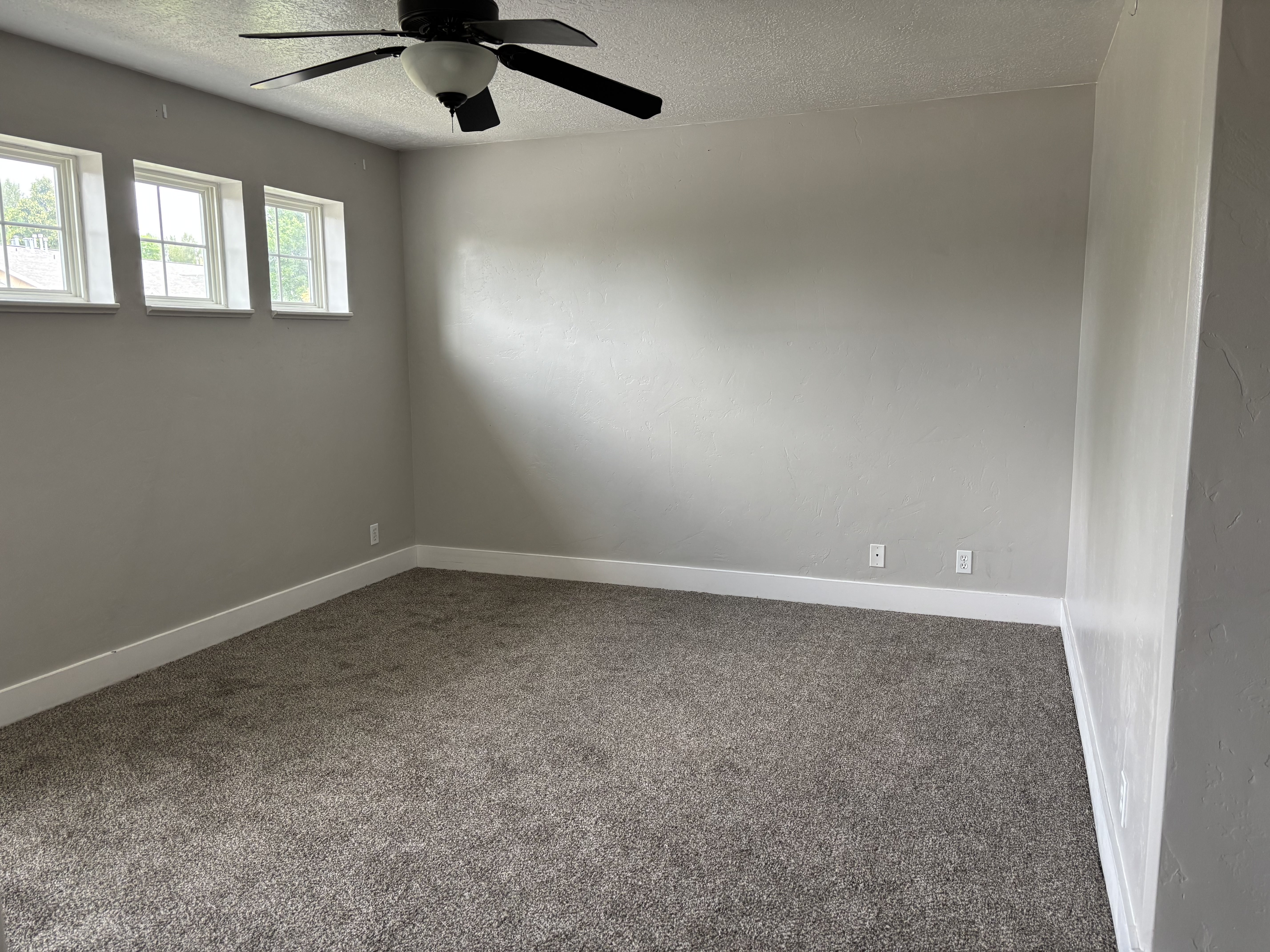 Neutral gray walls complementing plush gray carpeting