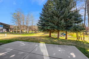 View of grassy yard