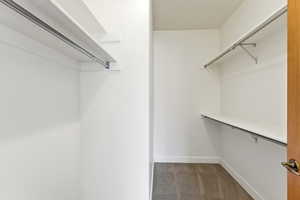 Walk in closet with dark carpet