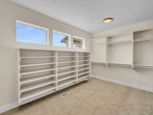 Walk in closet featuring light colored carpet