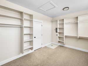 Walk in closet with attic access and light carpet