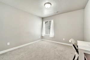 Unfurnished office featuring a textured ceiling and carpet floors