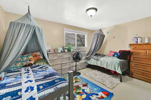 Carpeted bedroom with a textured ceiling