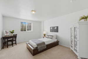 Bedroom with light carpet