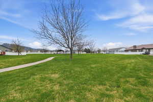 View of green lawn with a residential view