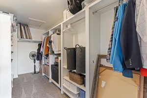 Walk in closet with attic access and light colored carpet