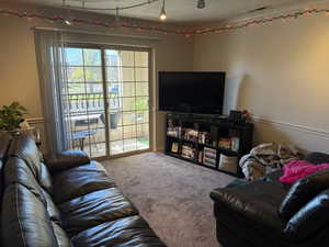 Living area with carpet floors, a textured ceiling, and track lighting