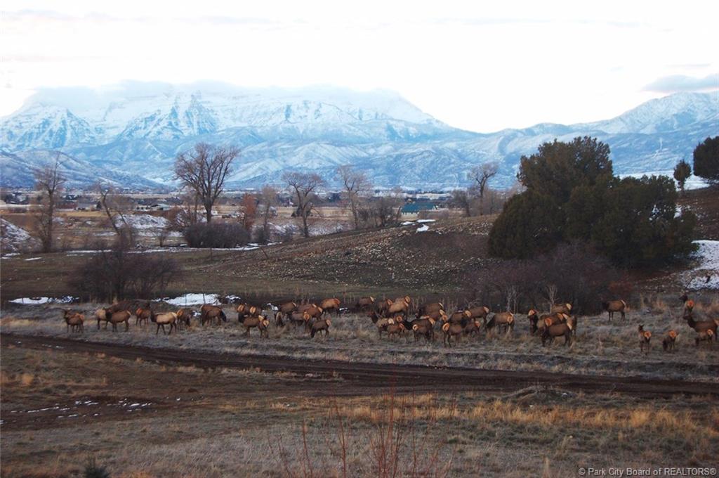 View of mountain background with rural landscape