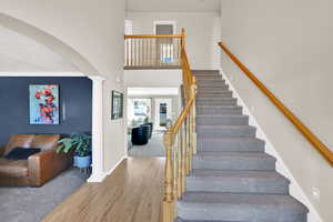 Brand new high-end carpet, hardwood floor entryway