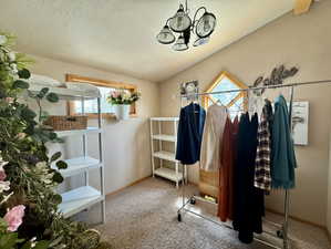 Walk in closet with vaulted ceiling, light carpet, and suspended lighting