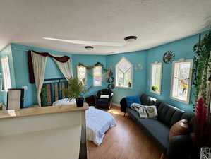 Bedroom featuring wood finished floors and a textured ceiling