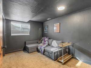 Living area featuring a textured wall, light carpet, and a textured ceiling