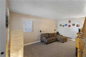 Living room with carpet flooring and a textured ceiling