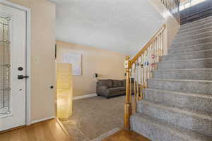 Stairs featuring wood finished floors, carpet flooring, and a textured ceiling
