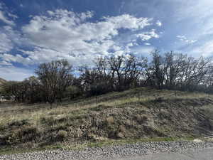 View of local wilderness with rural landscape