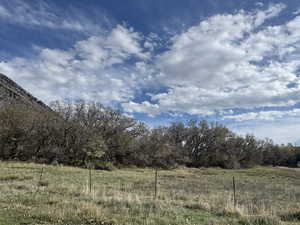 View of undeveloped land featuring rural landscape