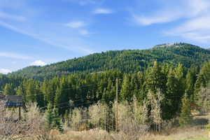 View of mountain background with a heavily wooded area